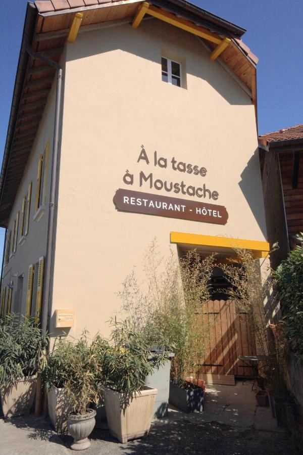 Hotel A La Tasse A Moustache Thonon-les-Bains Bagian luar foto